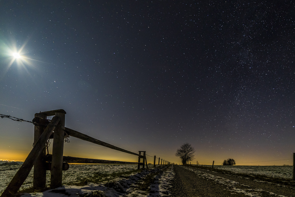 Platz 2 Harald Unglert
